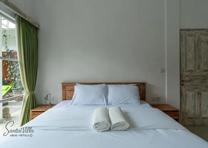 Santai Andong 3* ウブド